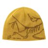 Gorro Arc'teryx Bird Head «Amarillo»