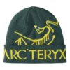 Gorro Bird Word «Lampyre Pytheas»