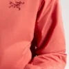 Sudadera con capucha Atom para hombre