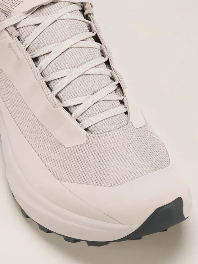 Zapatos Norvan LD 4 GTX para hombre