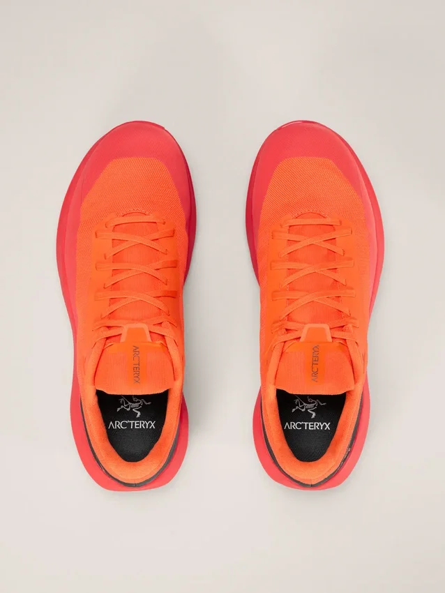 Zapatos Norvan LD 4 para hombre
